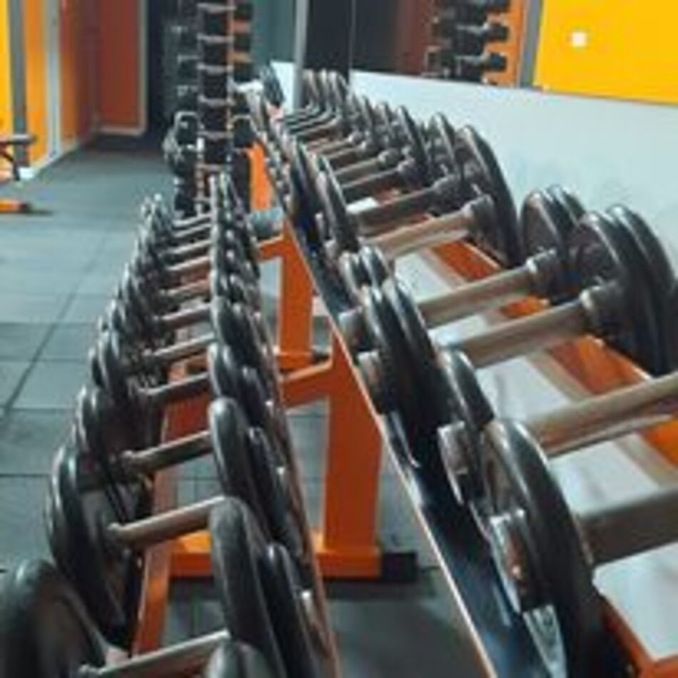 Sala Fitness: zona de pesas